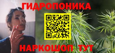 прущие грибы Конаково