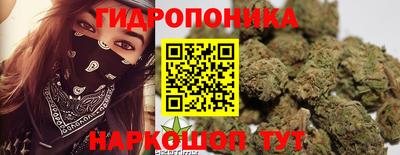 прущие грибы Конаково