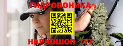 прущие грибы Конаково
