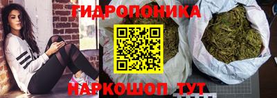 прущие грибы Конаково