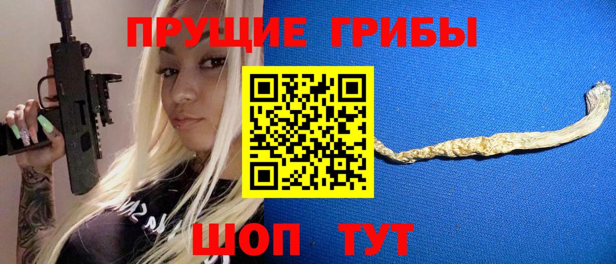 Псилоцибиновые грибы мицелий  Псилоцибиновые грибы прущие грибы  что такое наркотик  Киселёвск  Вход с VPN 