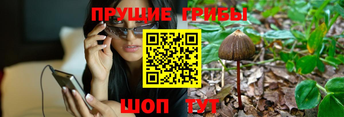 Галлюциногенные грибы мухоморы Киселёвск